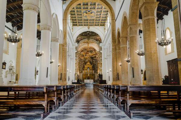 Biglietto Singolo - Cattedrale di San Gerlando